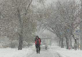 Wet snow in Kyiv