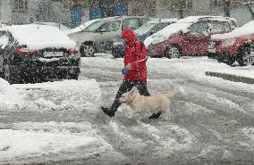 Wet snow in Kyiv