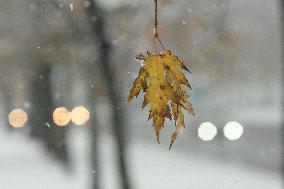 Wet snow in Kyiv