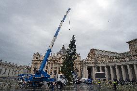 Christmas Tree Installation in Place Saint-Pierre - Vatican