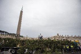 Christmas Tree Installation in Place Saint-Pierre - Vatican