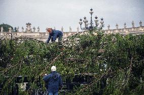 Christmas Tree Installation in Place Saint-Pierre - Vatican