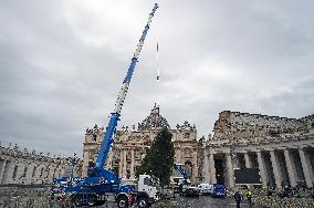 Christmas Tree Installation in Place Saint-Pierre - Vatican