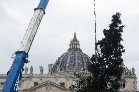 Christmas Tree Installation in Place Saint-Pierre - Vatican