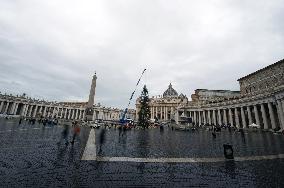 Christmas Tree Installation in Place Saint-Pierre - Vatican