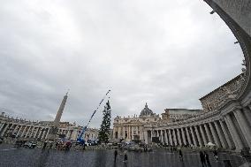 Christmas Tree Installation in Place Saint-Pierre - Vatican