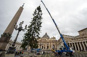 Christmas Tree Installation in Place Saint-Pierre - Vatican