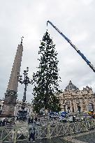 Christmas Tree Installation in Place Saint-Pierre - Vatican