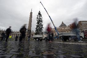 Christmas Tree Installation in Place Saint-Pierre - Vatican