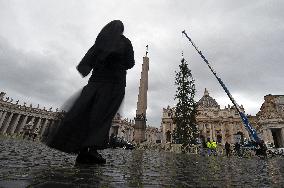 Christmas Tree Installation in Place Saint-Pierre - Vatican