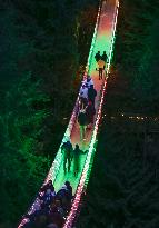 Illuminated Suspension Bridge - Vancouver