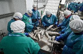 Seafood processing production complex in ZaporizhzhiaSeafood processing production complex in Zaporizhzhia