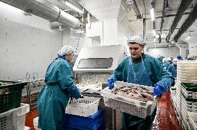 Seafood processing production complex in ZaporizhzhiaSeafood processing production complex in Zaporizhzhia