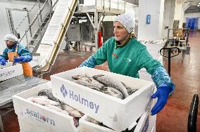 Seafood processing production complex in ZaporizhzhiaSeafood processing production complex in Zaporizhzhia