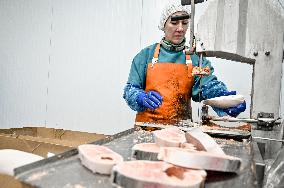 Seafood processing production complex in ZaporizhzhiaSeafood processing production complex in Zaporizhzhia