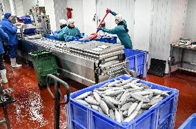 Seafood processing production complex in ZaporizhzhiaSeafood processing production complex in Zaporizhzhia