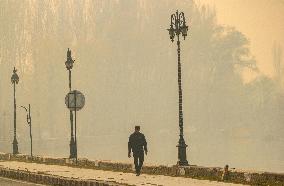 Fog In Srinagar