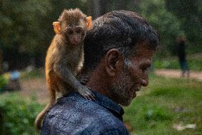 Daily Life In Dhaka