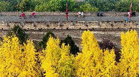 Autumn Scenery - China