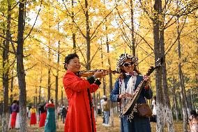 Autumn Scenery - China