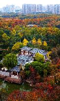 Autumn Scenery - China