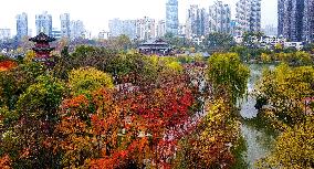 Autumn Scenery - China