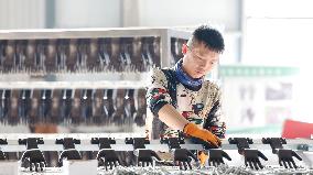 A Glove Processing Enterprise in Suqian