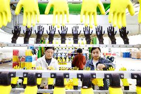 A Glove Processing Enterprise in Suqian