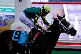 Thoroughbred Horse Racing At Woodbine Racetrack - November 23, 2024