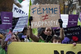 March Against Violence Against Women In Paris