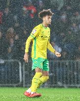 West Bromwich Albion FC v Norwich City FC - Sky Bet Championship