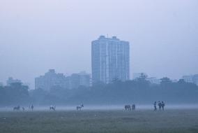 Winter In Kolkata, India