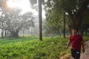 Winter In Kolkata, India