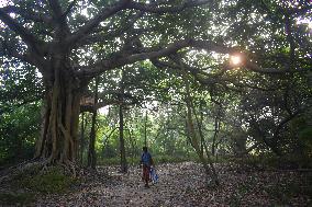 Winter In Kolkata, India