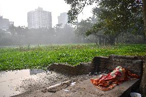 Winter In Kolkata, India