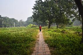 Winter In Kolkata, India