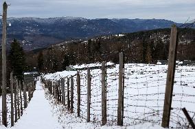 Memorial Tour at Natzweiler-Struthof Concentration Camp