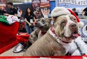 2024 Christmas Canadian Pet Expo - Canada