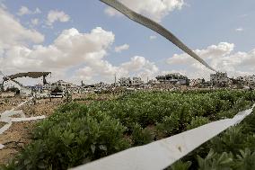 Daily life Of A Palestinian Farmer In The War