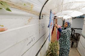 Daily life Of A Palestinian Farmer In The War