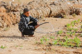 Daily life Of A Palestinian Farmer In The War