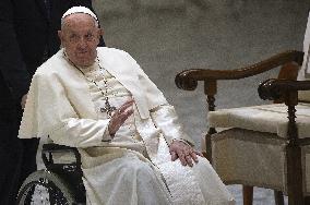 Pope Francis During an Audience - Vatican