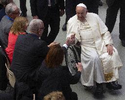 Pope Francis During an Audience - Vatican