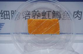 Artificial Fish Meat