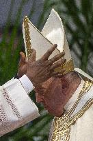 Pope Francis Celebrates a Holy Mass on World Youth Day - Vatican