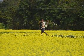 Daily Life In India