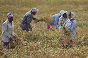 Daily Life In India