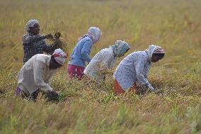 Daily Life In India