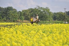 Daily Life In India