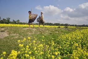 Daily Life In India